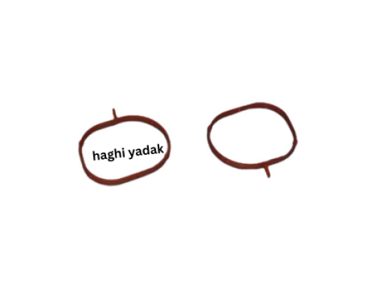 اورینگ هوا ام وی ام 110S اصلی