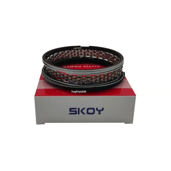 رینگ پیستون موتور استاندارد لیفان X60 و 620 (1800)